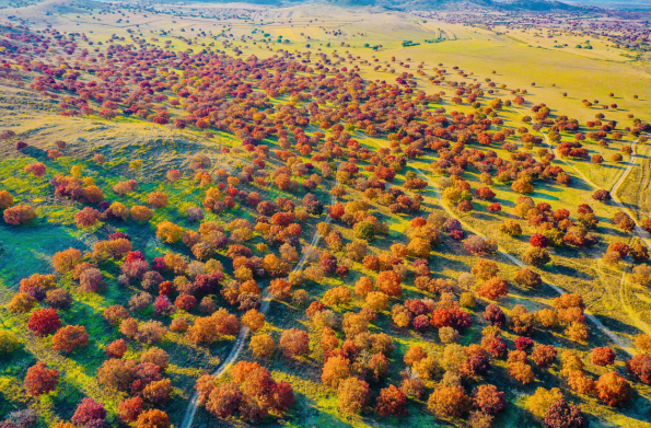 Inner Mongolia