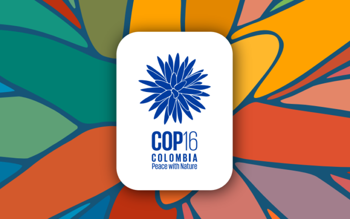 COP16