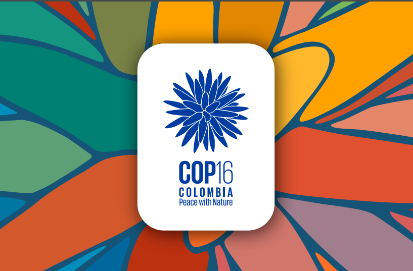 COP16